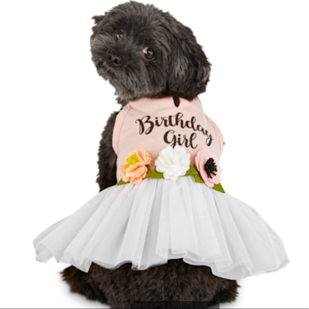 NWT- Small Birthday Girl Dog Dress